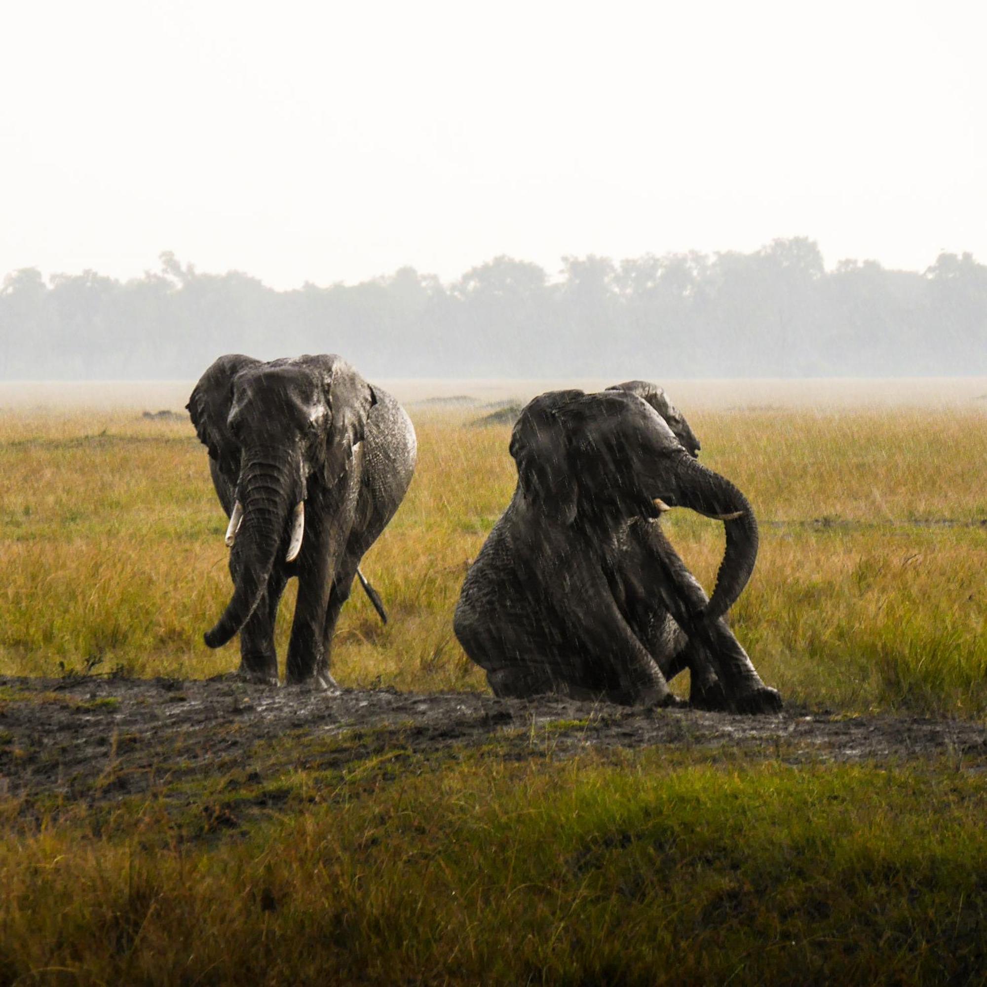 Kananga Special Tented Camp Banagi Exteriér fotografie