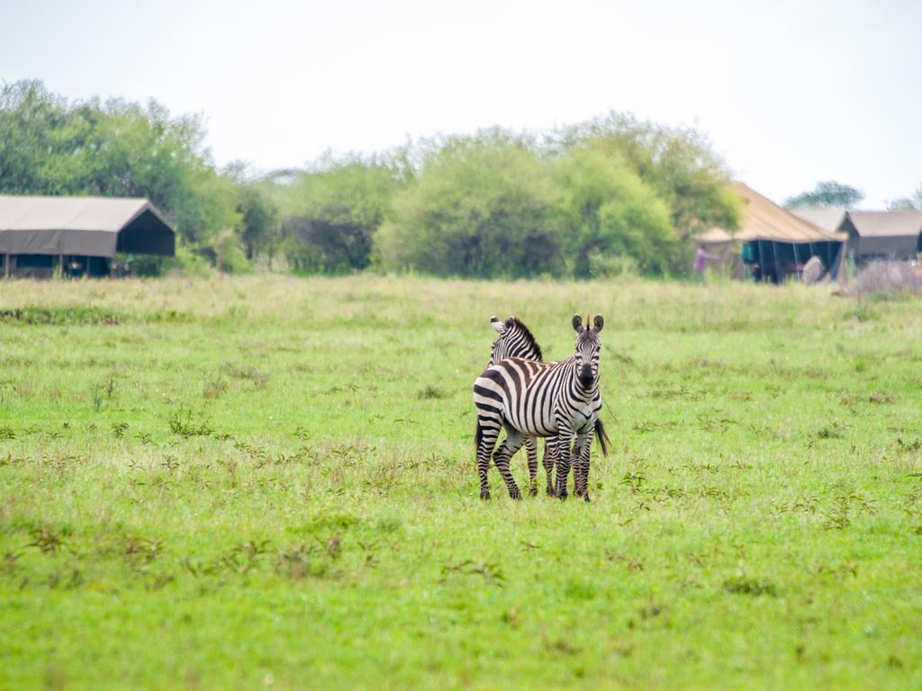 Kananga Special Tented Camp Banagi Exteriér fotografie